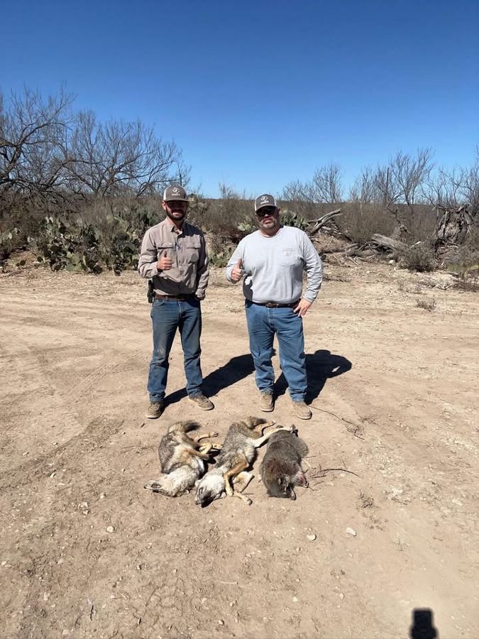 Tyler Hill and Trevor Hill standing over three coyotes taken on a South Texas ranch